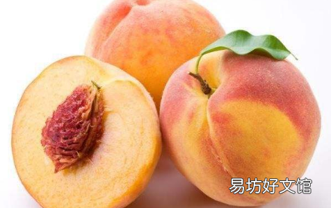 别人说你在想屁吃怎么回答 想桃子什么意思网络语