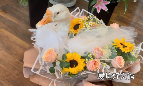 大鹅花束要自己准备鹅吗 活鹅花束怎么固定