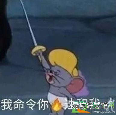 热梗击剑出自哪 击剑什么梗