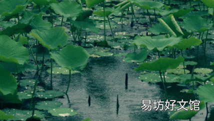 舟山梅雨季节可以去玩吗 舟山梅雨季节是什么时间2022
