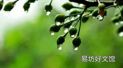 舟山梅雨季节可以去玩吗 舟山梅雨季节是什么时间2022