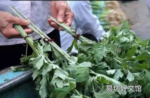 用艾草和菖蒲洗澡有危害吗 2022端午挂的艾草和菖蒲什么时候可以用来洗澡