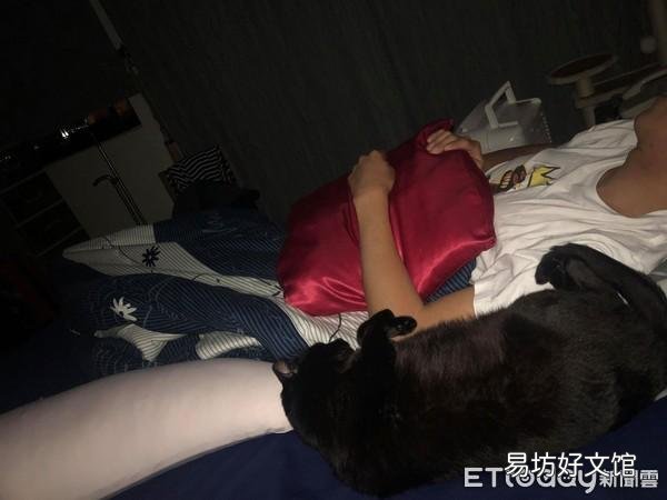 猫咪能吃奶油吗(猫咪能吃奶油么)