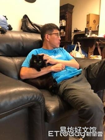 猫咪能吃奶油吗(猫咪能吃奶油么)