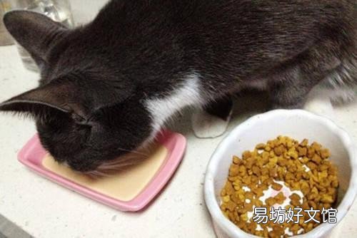 猫粮排名(猫粮排名前十品牌)