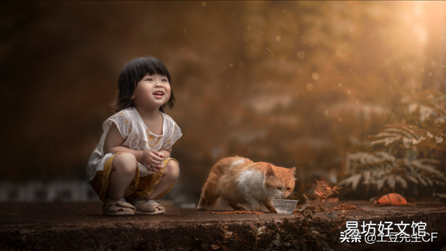 怀孕能养猫吗(刚刚怀孕能养猫吗)