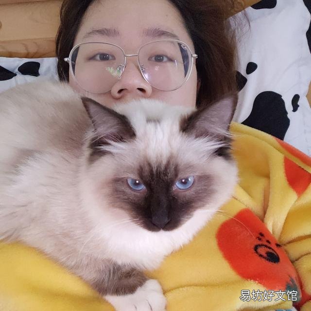 猫咪嗜睡(猫咪嗜睡食欲不振没有精神)
