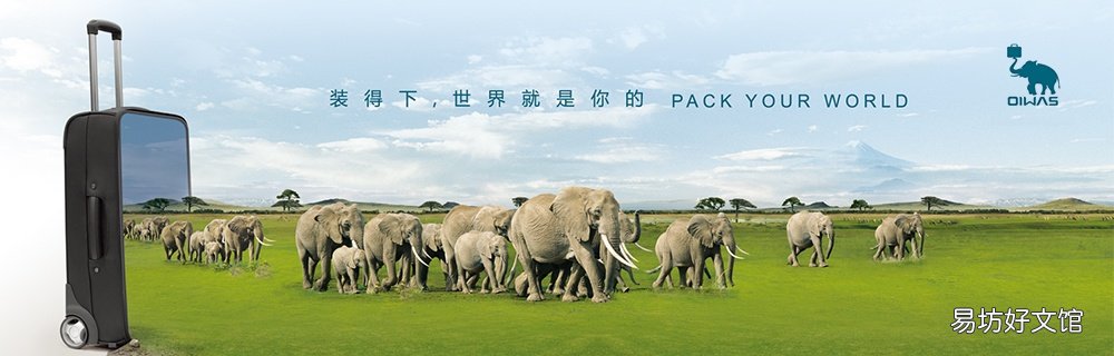 中国十大营销策划咨询公司排行榜!