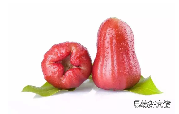 晚上能吃莲雾吗 莲雾和青枣哪个好吃