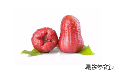 吃莲雾的禁忌 莲雾碰伤还可以吃吗