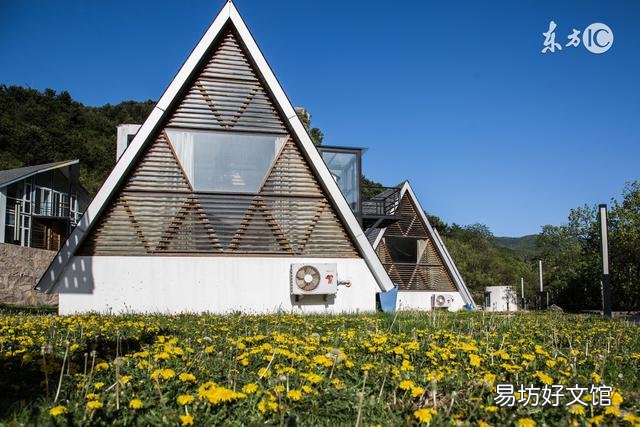 预定民宿的app哪个好 中国民宿app排名前十排行榜