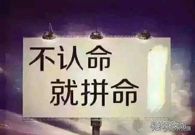 适合00后大学生自主创业的新风口 在网上如何自主创业