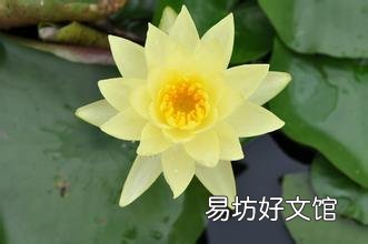 这几个项目值得推荐 农村小本投资的办厂好项目