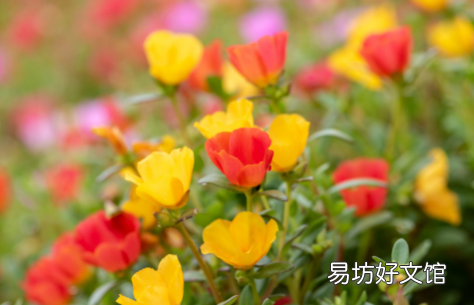 夏天可以热到几月份 2022夏天什么时候能不热