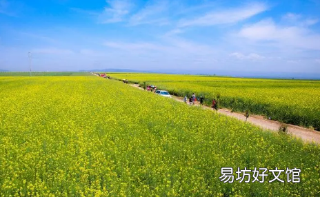 夏天气温高要注意什么 今年夏天2022年高温时间长吗