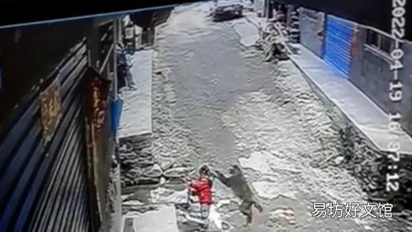 被同村村民救回 3岁女童在家门口被猴子拖走