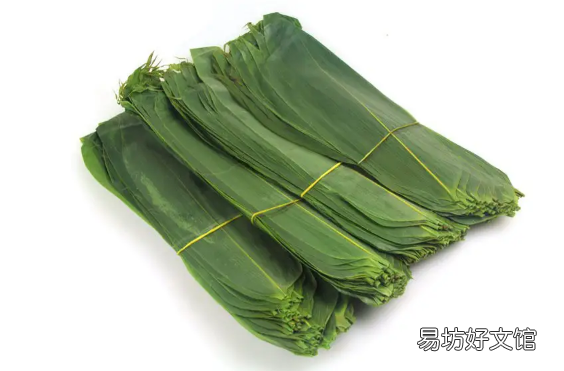 新鲜粽叶怎么处理 新鲜粽叶为什么不香