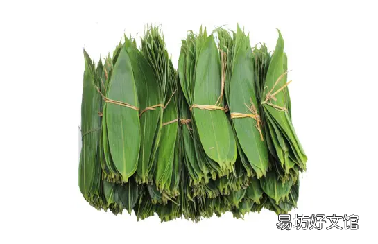 新鲜粽叶怎么处理 新鲜粽叶为什么不香