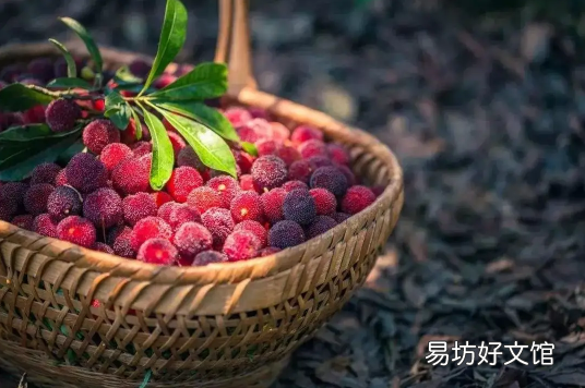 杨梅吃多了牙齿酸软多久能恢复 为什么杨梅吃多了牙齿会又酸又软