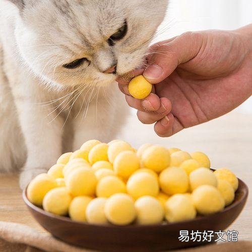 猫可以吃牛肉吗(宠物猫可以吃牛肉吗)
