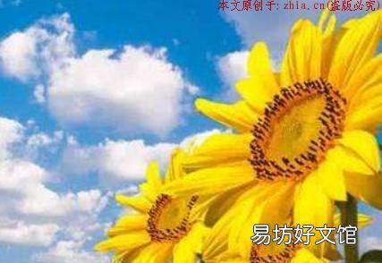 重要关头如何调整心态