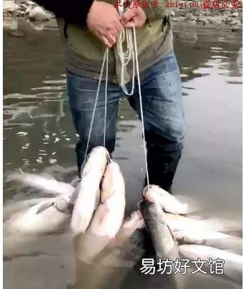 独门技巧让你收获大鱼！ 冬天怎样寻找鱼群锚鱼