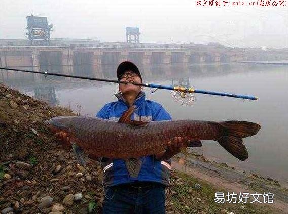 独门技巧让你收获大鱼！ 冬天怎样寻找鱼群锚鱼