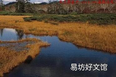 秋天锚鱼,就选这三个钓位,鱼一准的开口