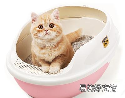 猫吃猫砂怎么办(小奶猫吃猫砂怎么办)