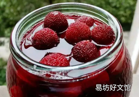 杨梅酒泡几个月可以喝 杨梅不洗可以直接泡酒吗