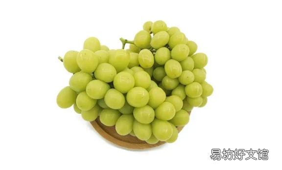 阳光玫瑰葡萄几月份上市 阳光玫瑰葡萄怎么辨别真假