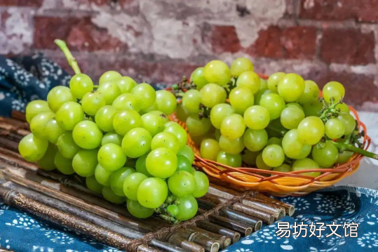 阳光玫瑰葡萄怎么挑选 阳光玫瑰葡萄无籽是打了避孕药吗