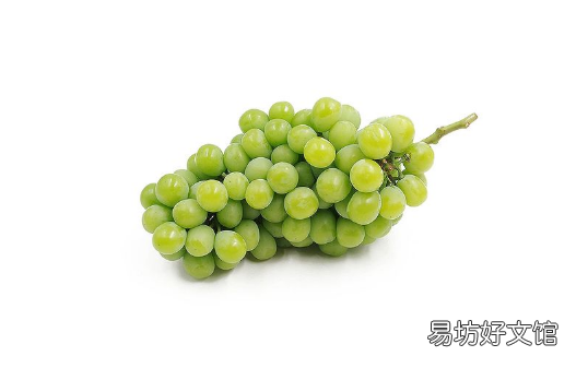 阳光玫瑰葡萄怎么挑选 阳光玫瑰葡萄无籽是打了避孕药吗