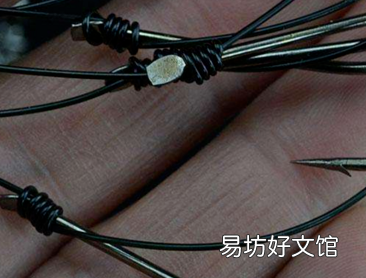 子线和主线分开更适合吗 锚鱼线组如何搭配中鱼率高