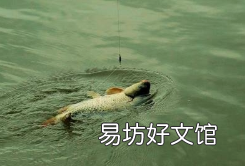 让老钓客来告诉你,轻松成高手 矶钓竿怎么打窝
