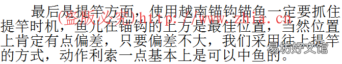 有没有方法技巧?了解下 可视锚鱼越南锚钩怎么锚鱼中鱼率高
