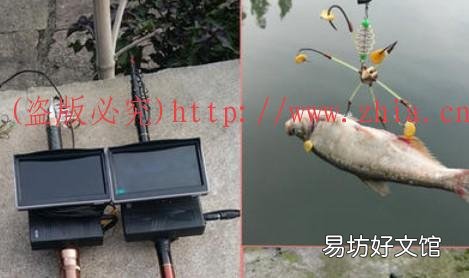 有没有方法技巧?了解下 可视锚鱼越南锚钩怎么锚鱼中鱼率高