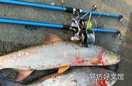 八卦轮和纺车轮哪种更好用？了解下 锚鱼时如何抛竿不炸线