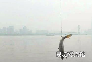 八卦轮和纺车轮哪种更好用？了解下 锚鱼时如何抛竿不炸线