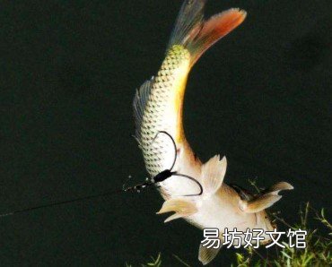既能锚鱼又能保证挂底后扯断线! 锚鱼鱼线一般用多大的合适