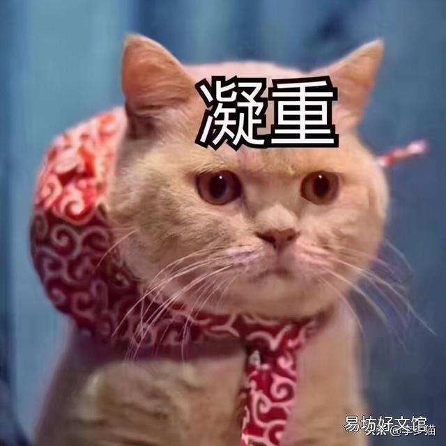 给猫驱虫用什么牌子的驱虫药好(给猫驱虫药哪个牌子好)