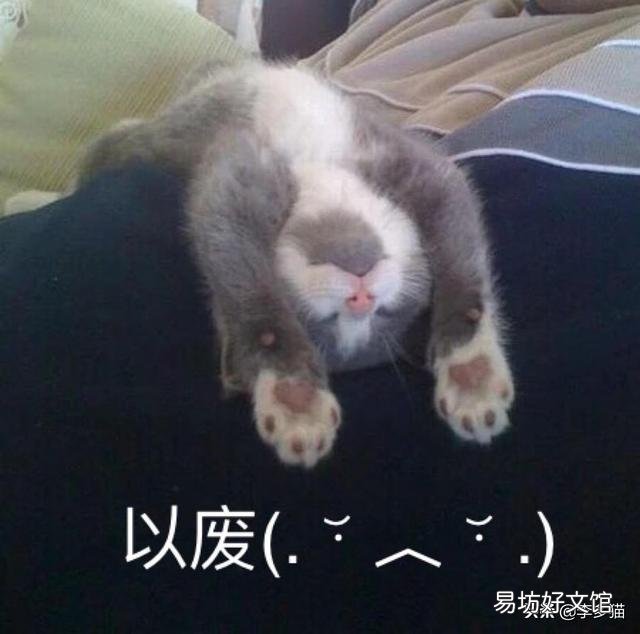 给猫驱虫用什么牌子的驱虫药好(给猫驱虫药哪个牌子好)