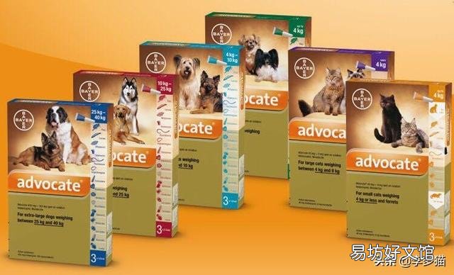 给猫驱虫用什么牌子的驱虫药好(给猫驱虫药哪个牌子好)