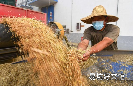 粮食补贴是一年一领吗 2022粮食补贴多少钱一亩