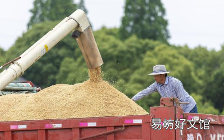 粮食补贴是一年一领吗 2022粮食补贴多少钱一亩