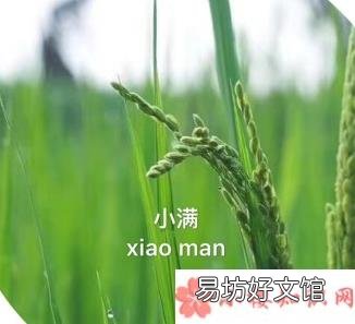 2018今日小满的问候祝福语大全 2018今日小满的句子说说朋友圈