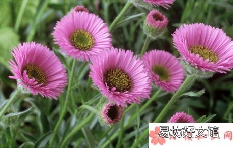 六月份到来的经典说说2018 五月过去六月到来的说说
