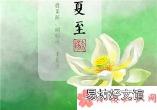 夏至狗没路走 夏至为什么要吃狗肉