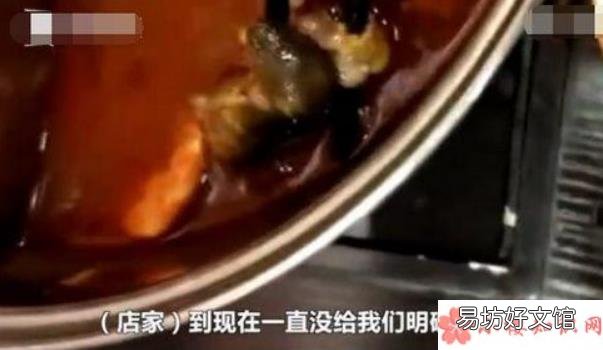 孕妇吃火锅吃出老鼠真的吗 孕妇在呷哺呷哺吃出老鼠怎么回事