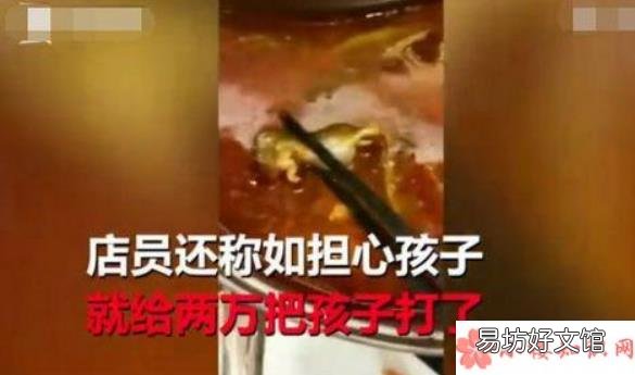 孕妇吃火锅吃出老鼠真的吗 孕妇在呷哺呷哺吃出老鼠怎么回事